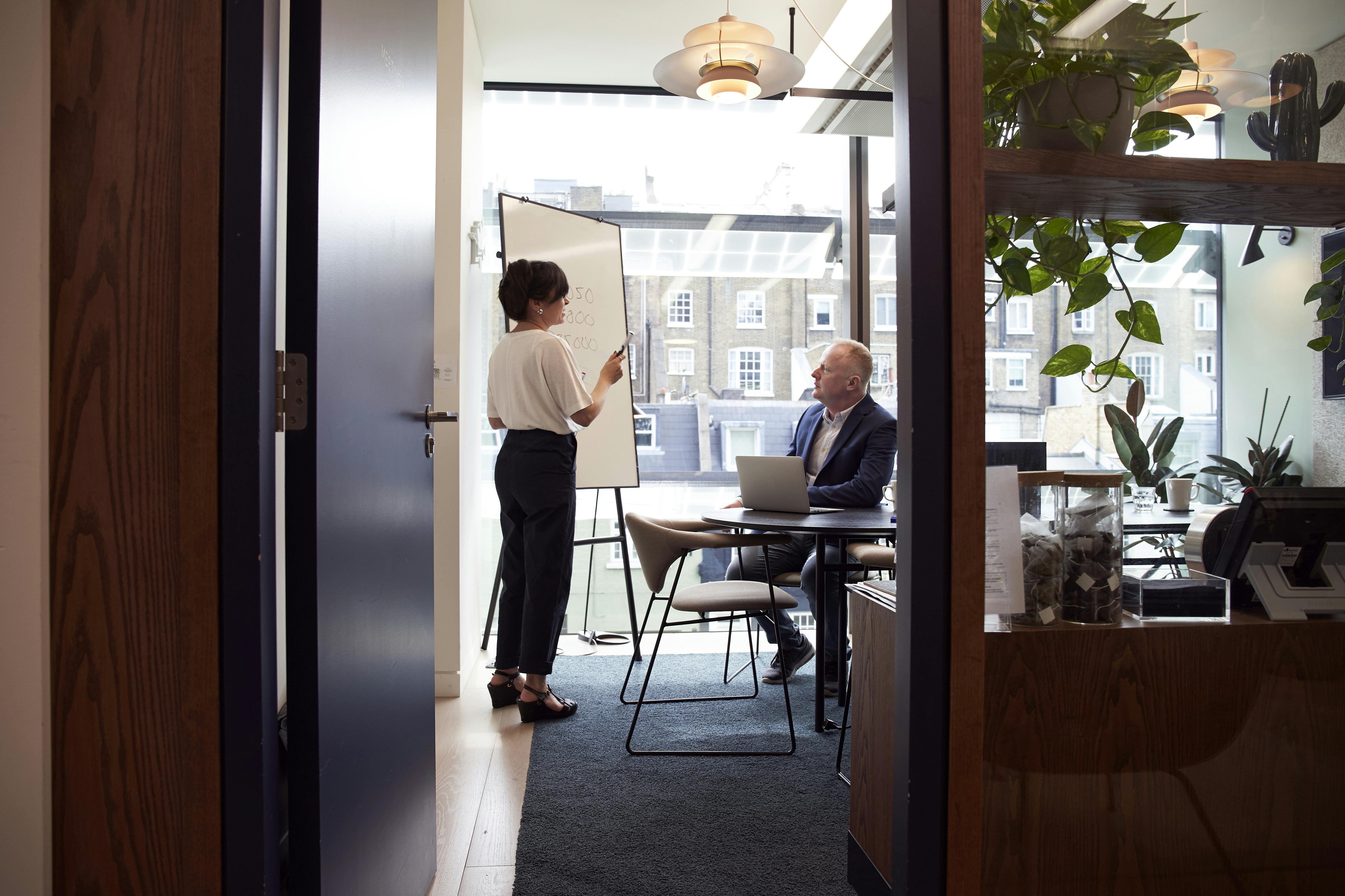 Government sector consulting